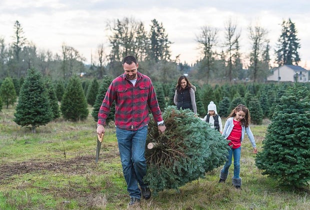 Image of family with tree - Christmas Tree Farms Near Boston