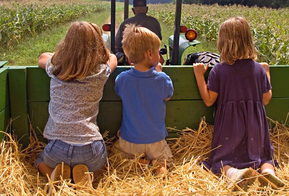 11 Hayrides Near Boston for Fall 2025 Hop on board these hayrides near Boston in 2025, for kid-friendly fun–and maybe a frightfully good time!