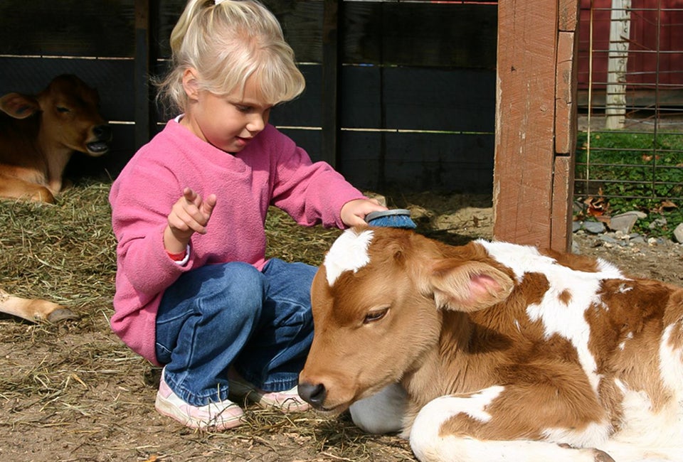 Farms and Petting Zoos Around Boston: See Animals Up Close Kids can see (and sometimes touch!) animals up close at Greater Boston's farms and petting zoos! Photo credit: Davis Farmland Sterling, MA