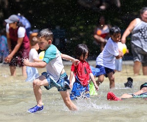 Find plenty of ways to stay cool in Boston with our Beat the Heat List! Frog Pond Spray Pool photo by John Wilcox, for the Mayor's Office of Boston. © All rights reserved.