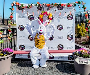 All aboard for a memorable family Easter Brunch on Cape Cod in 2025! Easter Sunday Brunch Train photo courtesy of the Cape Cod Central Railroad