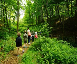 Boscobel House and Garden sits on 68 acres with dramatic views of the Hudson River, lush gardens, and a woodland trail. Photo courtesy of the estate