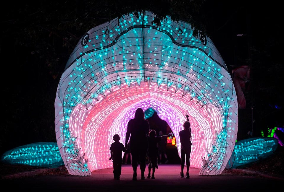 Boston Lights at the Franklin Park Zoo is now open on a nightly basis. Photo courtesy of Zoo New England