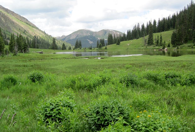 Arapaho and Roosevelt National Forests
