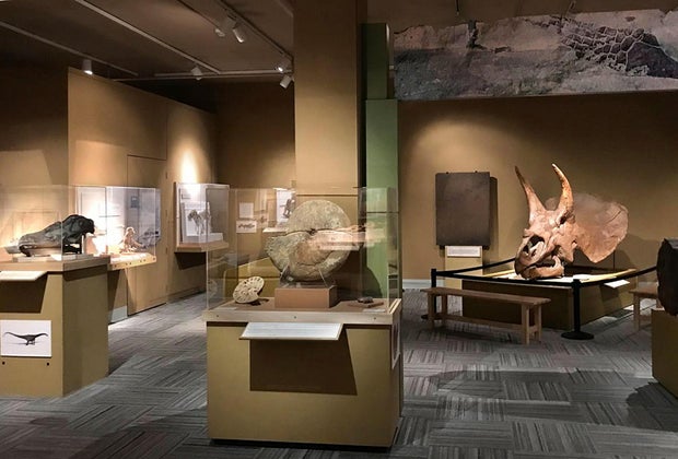 CU Museum of Natural History