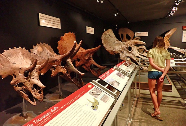 Museum of the Rockies: Bozeman with Kids