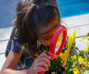 Bright Horizons Early Education and Preschool offers summer camp. Photo courtesy of Bright Horizons 