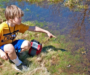 Broadmoor Wildlife Sanctuary in Natick. Photo courtesy of Mass Audubon