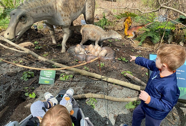 See dinosaurs—and babies—up close at the Bronx Zoo Dinosaur Safari