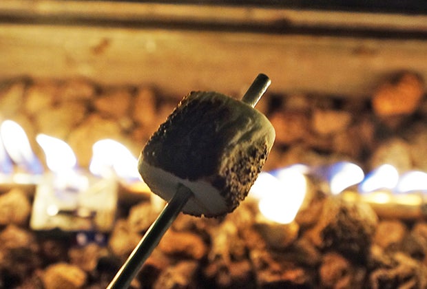S'mores at the Bronx Zoo Holiday Lights