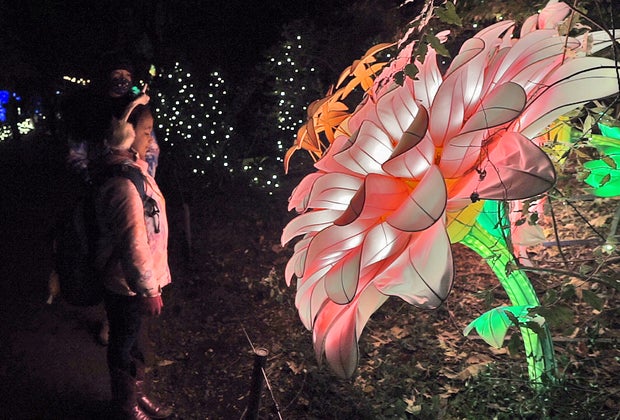 Girls looking at Forest of Color flowers at Bronx Zoo Holiday Lights