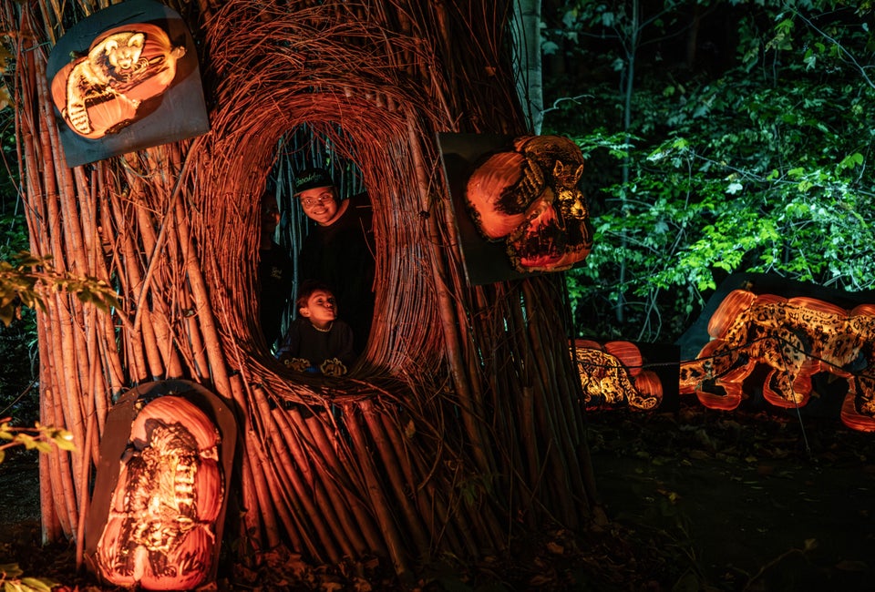 The Bronx Zoo hosts a pair of Halloween events, including the after-dark Harvest Glow. Photo by Terria Clay/courtesy of the Bronx Zoo