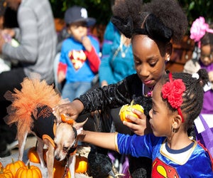 Stroll along the piers at Brooklyn Bridge Park and stop by the Harvest Festival for lots of fall fun. Photo courtesy of  BBP