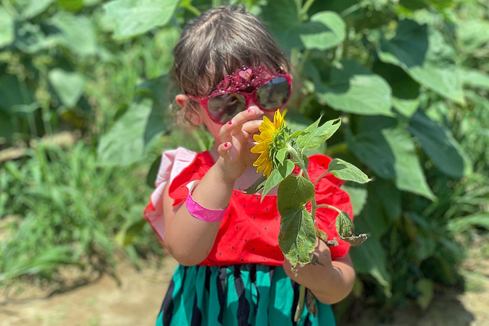 Whether it's the Tulip Festival in the spring, or the Sunflower Fest in late summer, there's always something fun happening at Waterdrinker Family Farms. 