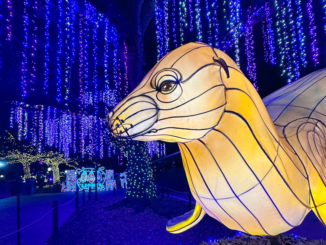 Head to the Houston Zoo for a fun outing this Christmas break. Photo courtesy of the zoo