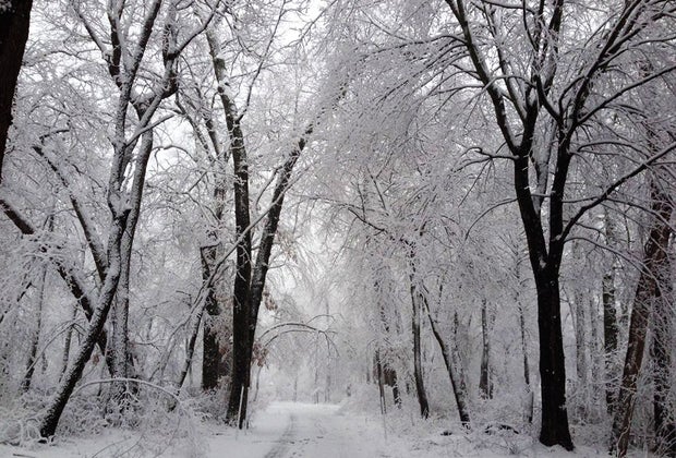 Caleb Smith State Park Cross-Country Skiing Near NYC