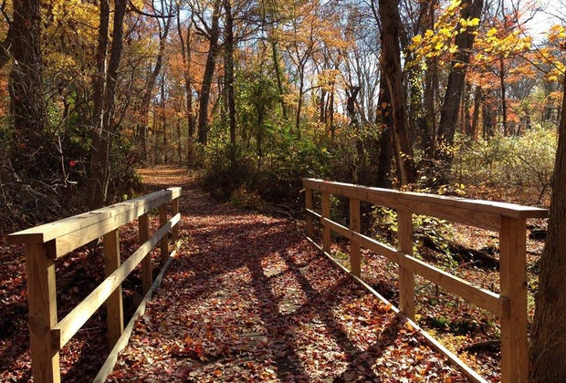 bridge and hiking trail Caleb Smith State Park Preserve