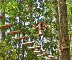 Every step matters at TreeTop Adventure & Ziplines at Callaway Gardens. Photo by Bill Leffler