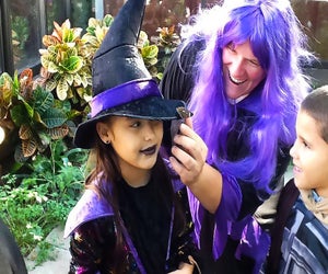 Meet some friendly creatures at Goblins in the Garden at Camden Children's Garden. Photo courtesy of the the venue