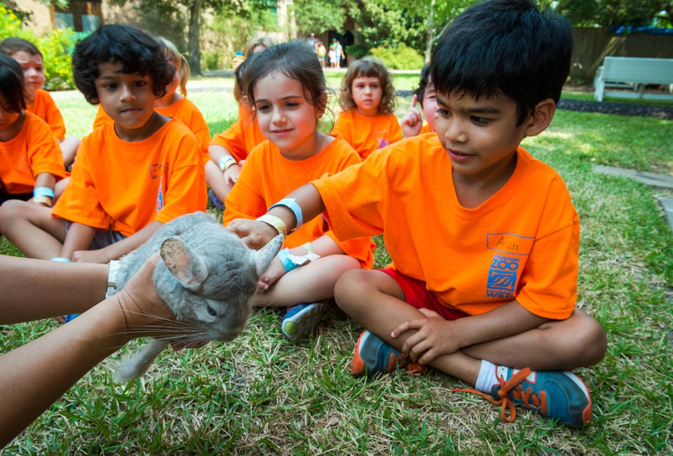 Holiday Break Camps for Houston Kids