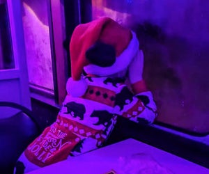 Keep those wondering eyes peeled for a visit from Santa this Weekend! Photo courtesy of the Cape Cod Central Railroad