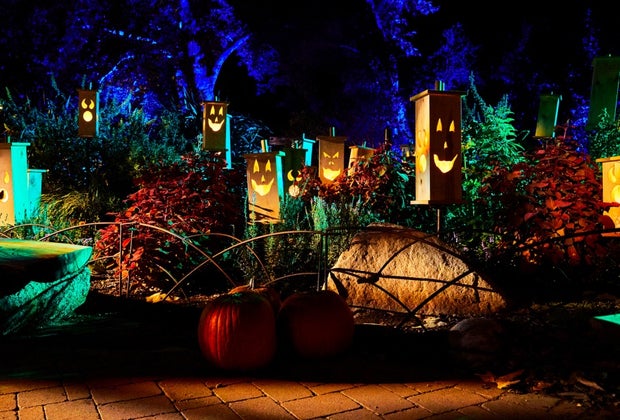 Halloween Tickets on Sale Now in Los Angeles: Carved at Descanso
