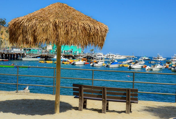 Best Things To Do with Kids on Catalina Island: The Beach