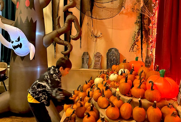 The Cauldron pumpkin patch: Picking the perfect pumpkin