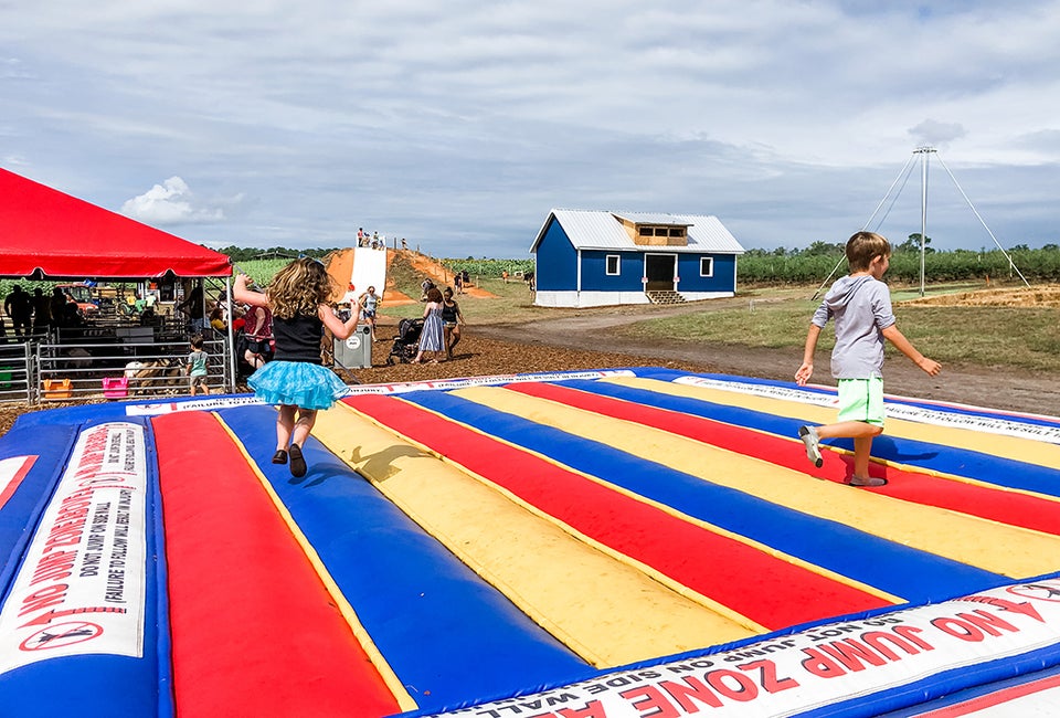Visiting kid-friendly farms, especially those with fun attractions, is a great way to spend a fall afternoon. Photo by Charlotte Blanton