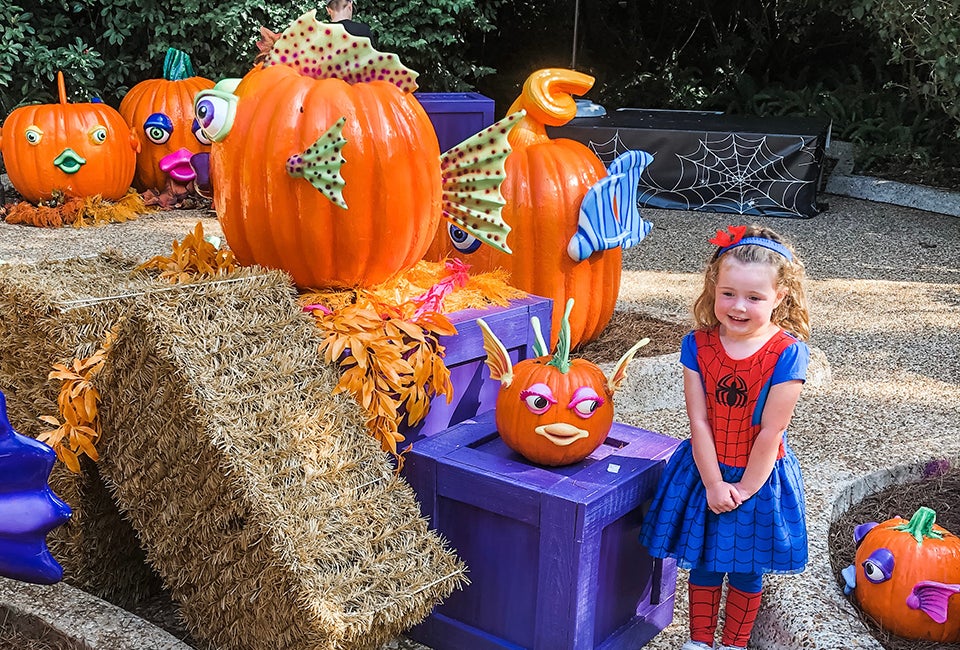 25 Best Things To Do in Orlando with Kids September 2025, According to Mommy Poppins Editors SeaWorld Orlando's Halloween Spooktacular entertains kids until November 2, 2025. Photo by author