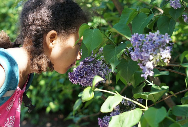 Central Park with Kids Conservatory Garden