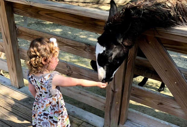 Things To Do with Preschoolers and Toddlers in Orlando Before They Turn 5: Central Florida Zoo.