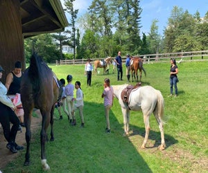 Join with other riders at  Chamounix Equestrian Center. Photo courtesy of the center 