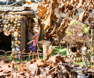 See if you can spot  a fairy or gnome along the trails at Chattahoochee Nature Center. Photo courtesy of the center