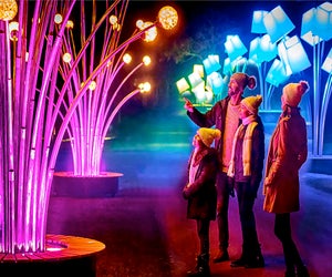 Lightscape photo courtesy of the Chicago Botanic Garden