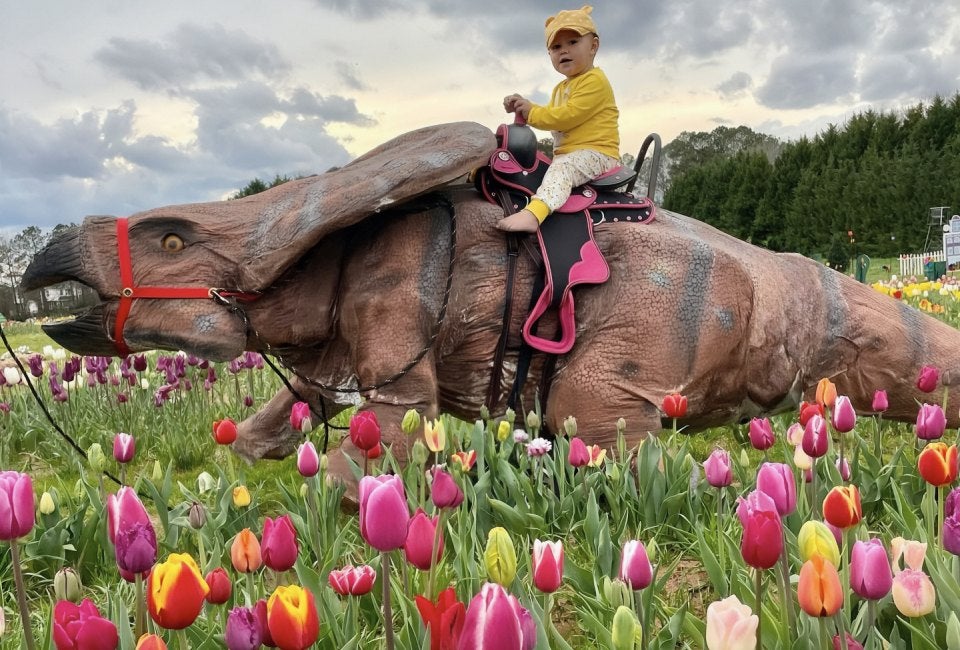 Tulip Festival at Yule Forest