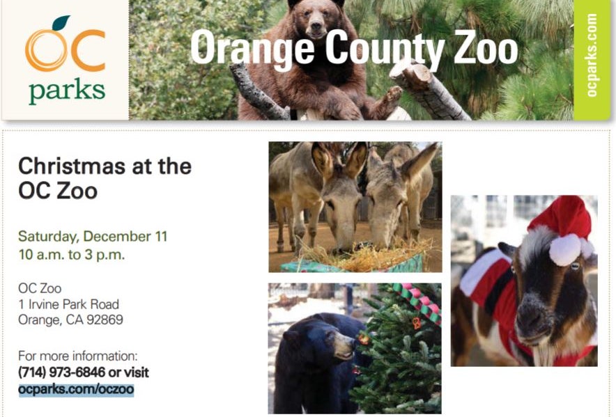Christmas at the OC Zoo