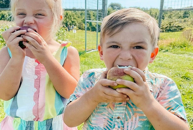 Image of children eating apples at an apple orchard near Boston