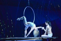 Beyond Ringling: Best New Circus Shows for NYC Kids This Season