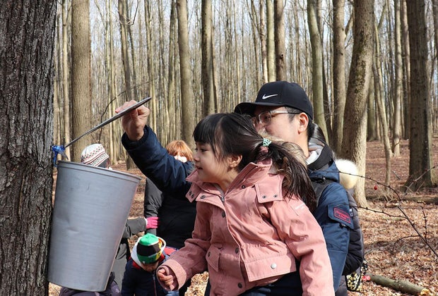 Free things to do: Clay Pit Ponds State