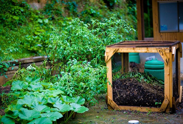 26 Tips for Living More Sustainably Every Day composting