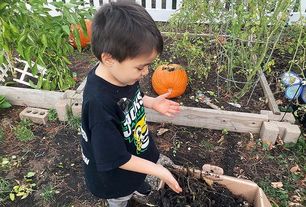 Composing : Environmental Activities Kids Can Do at Home