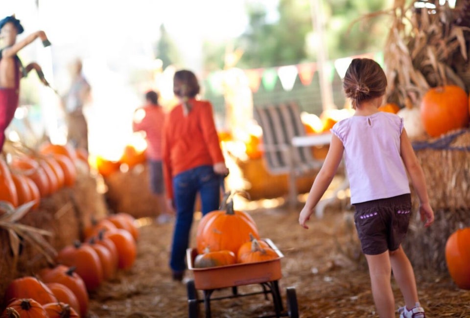 Pumpkin Fest at Cornelius Nursery