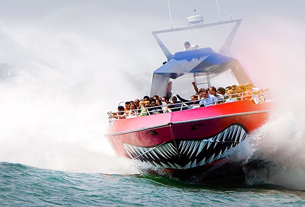 Image of Godzilla - Fun Boat Rides in Boston for Kids