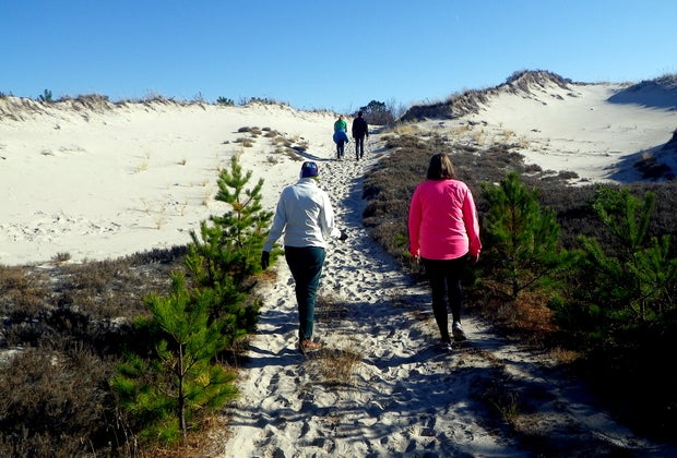 12 Great Places To Hike with Kids around Boston: The Crane Estate