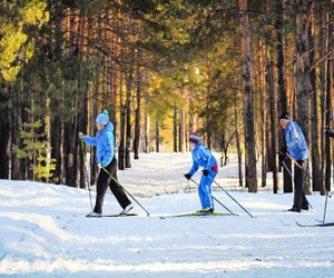 Enjoy the outdoors on cross country skis. Photo courtesy of Pexels 