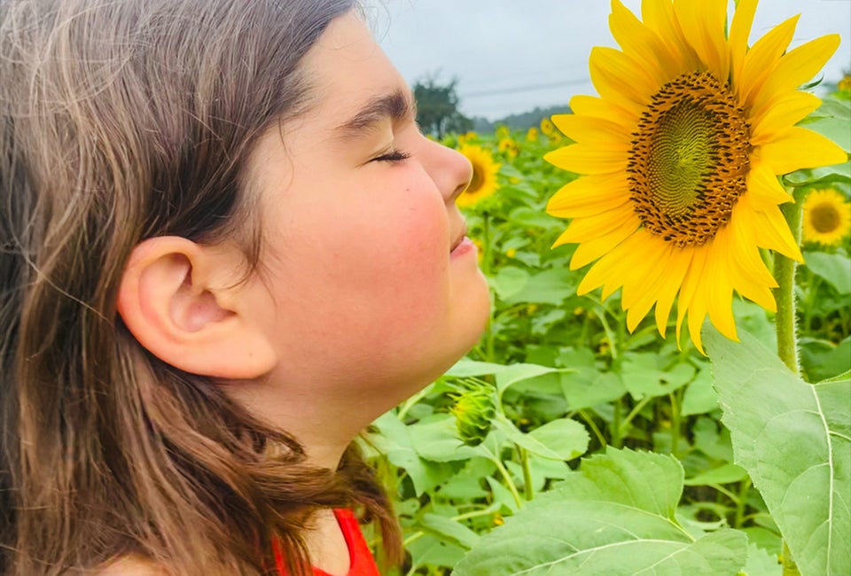 Get out for pick-your-own fun at sunflower farms and flower fields across Connecticut! Buttonwoods sunflower photo by Ally Noel for Mommy Poppins.