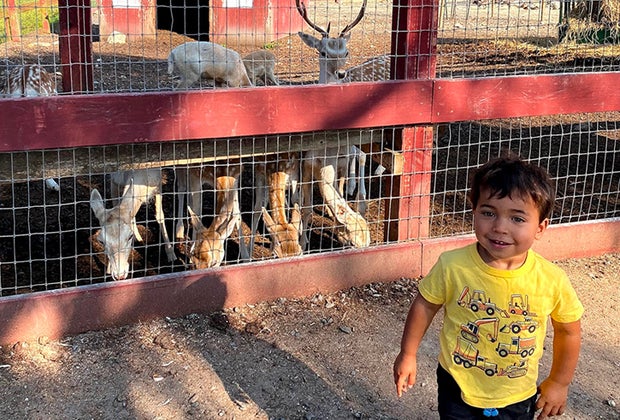 Ultimate Connecticut Bucket List Silverman's Farm Fairfield County