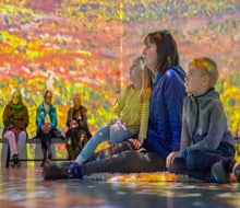 Christmas vacation is the perfect time to catch Monet: The Immersive Experience before it leaves town in January! Photo courtesy of the experience