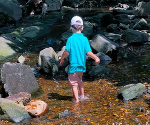 Creek play is a great way for kids to cool off and explore nature. Photo by author Catie Misleh